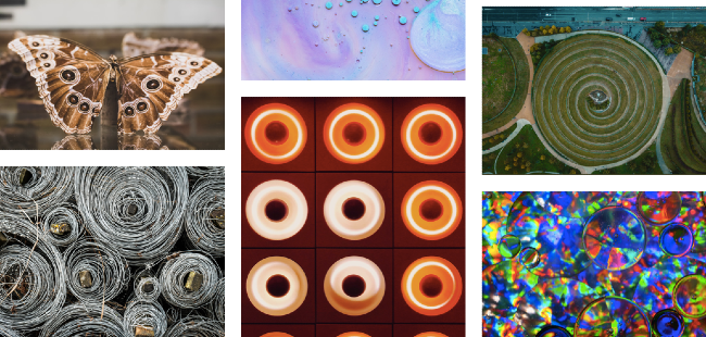 The Way Forward: Living in Circles