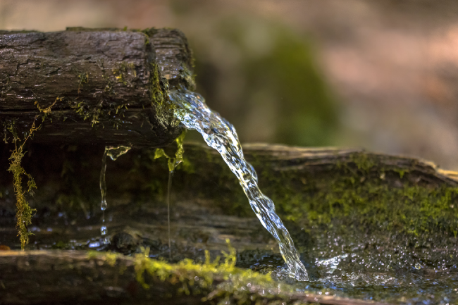 The Way Forward: Exodus 15:22-27—Healing Waters