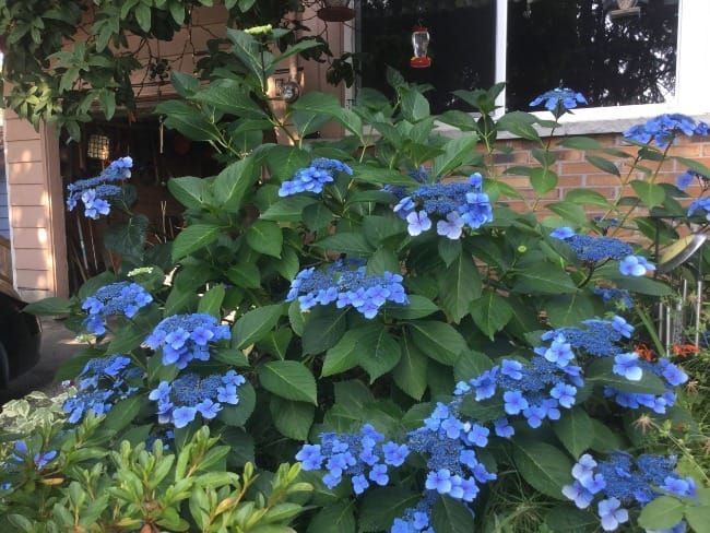 The Way Forward: How My Faith Has Shifted #4—Learning to Be a Caretaker