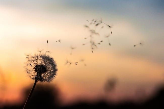 The Art of Creation: The Way the Wind Blows