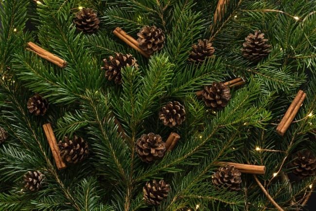 Practical Earthkeeping: Greener Christmas