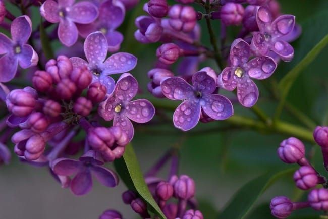 The Art of Creation: Re-Wondering the World