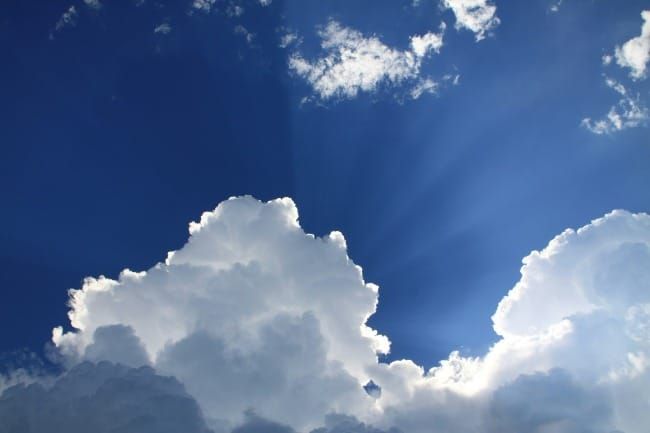 The Art of Creation: This Amazing Day