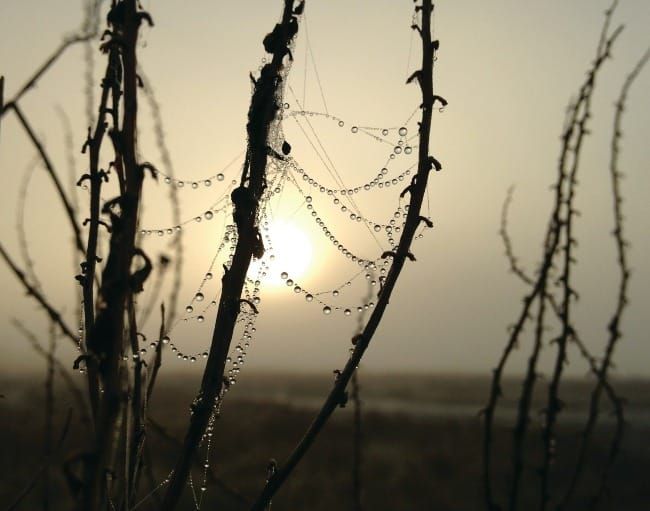 The Art of Creation: Tidings of Comfort