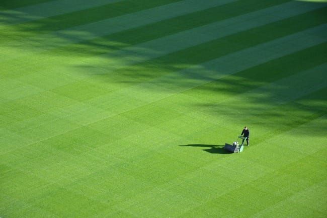 The Way Forward: Lawn and Order
