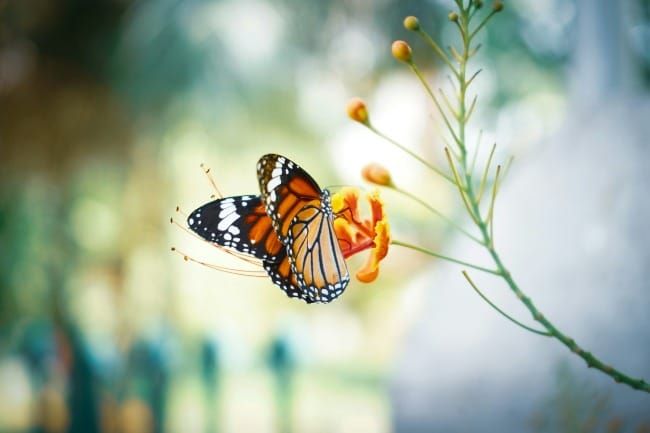 The Art of Creation: Safe Passage