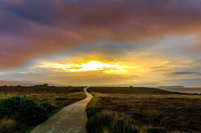 The Way Forward: Bread for the Journey