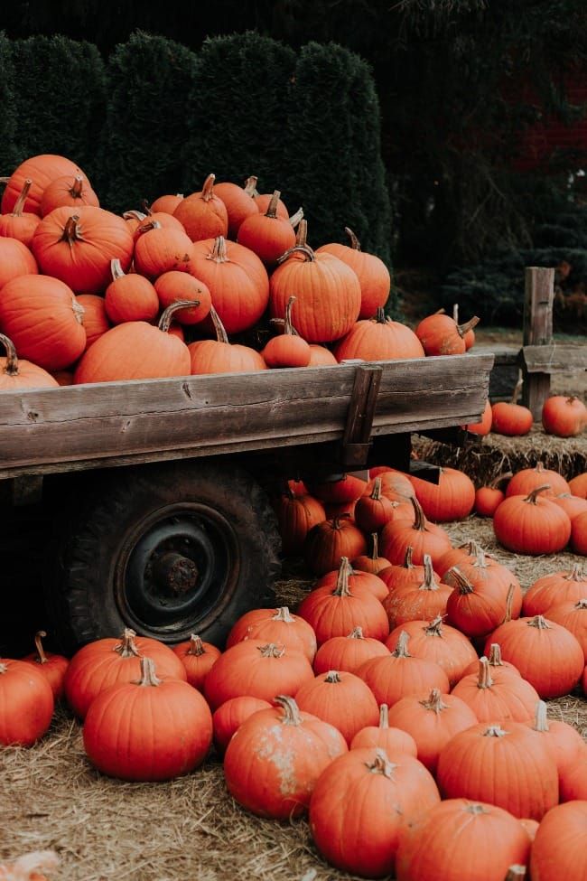 Practical Earthkeeping: Sustainable Autumn