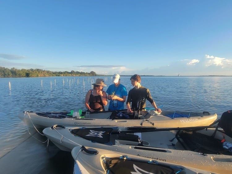 Practical Earthkeeping: Volunteer Biodiversity Restoration