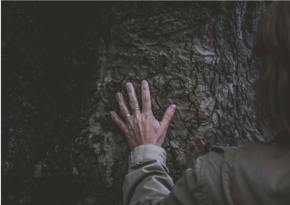 The Art of Creation: The Lightest Touch
