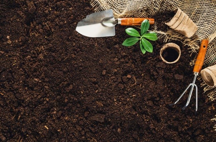 Gardening