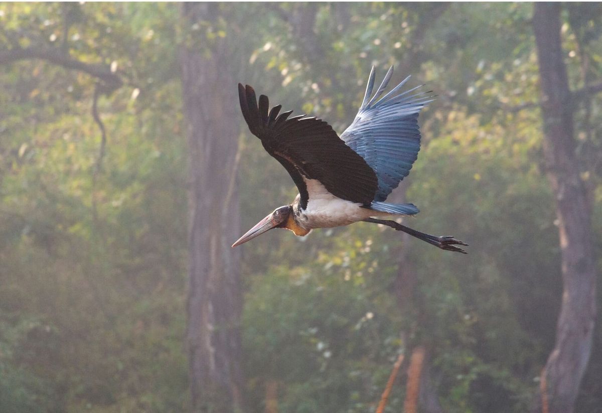 The Art of Creation: Beyond the Surface