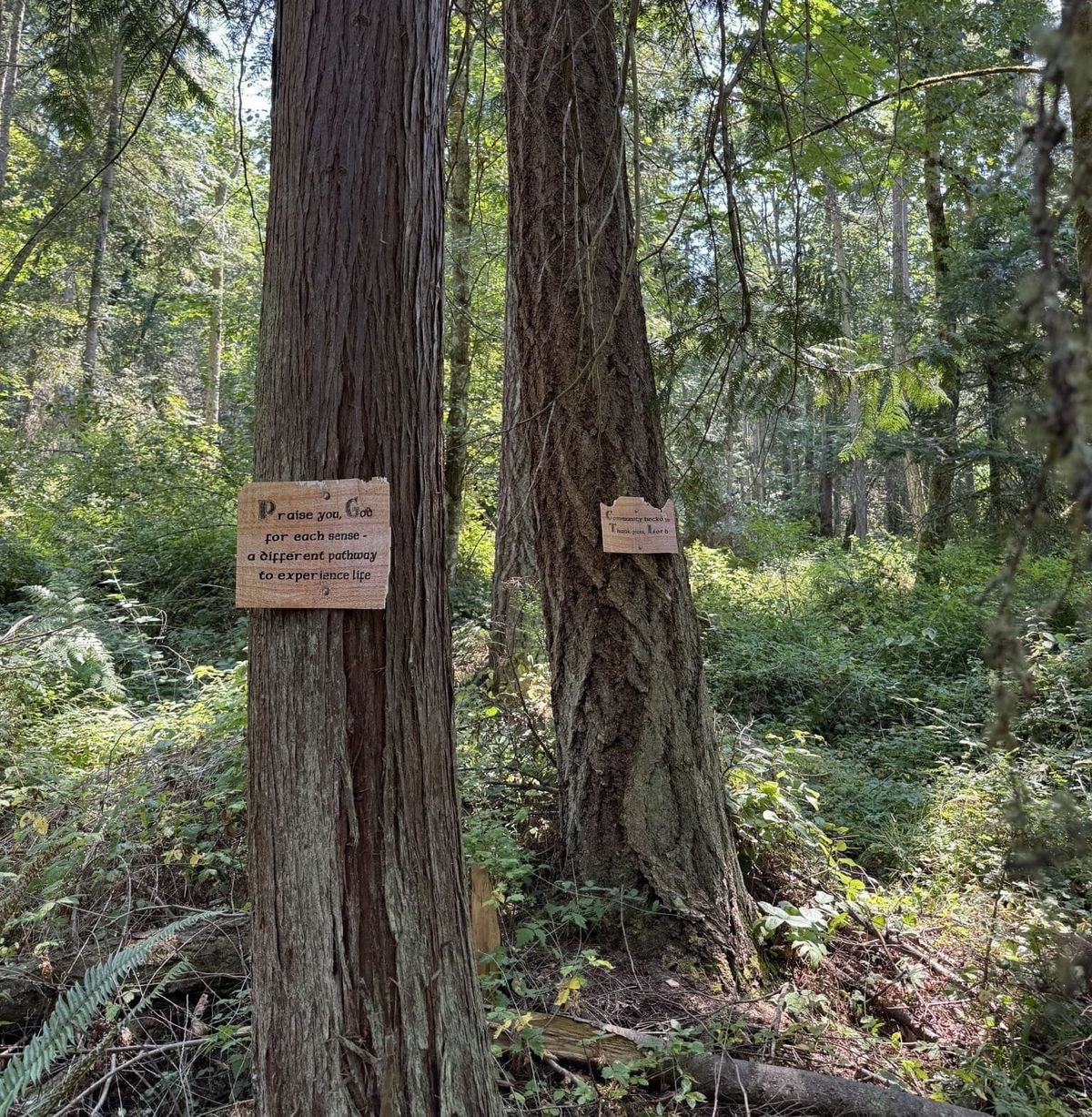 Practical Earthkeeping: A Summer of Encounter