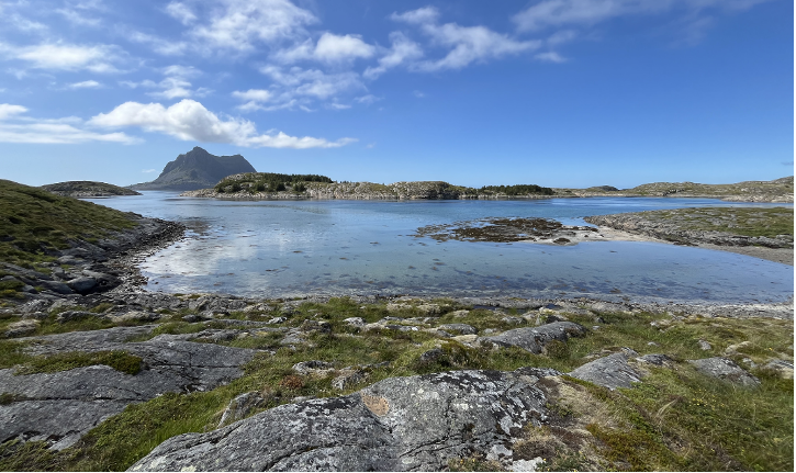 The Art of Creation: The Place of Tides