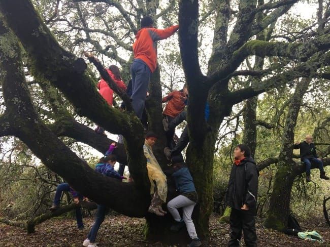 Practical Earthkeeping: Learning (and Teaching) the Names of Things