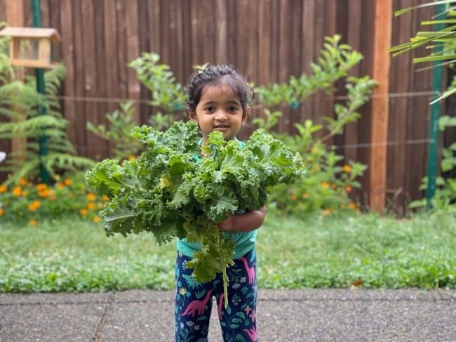 The Way Forward: How My Faith Has Shifted #1—My Journey from Doubt to a Wildly Wonderful Understanding and Purpose