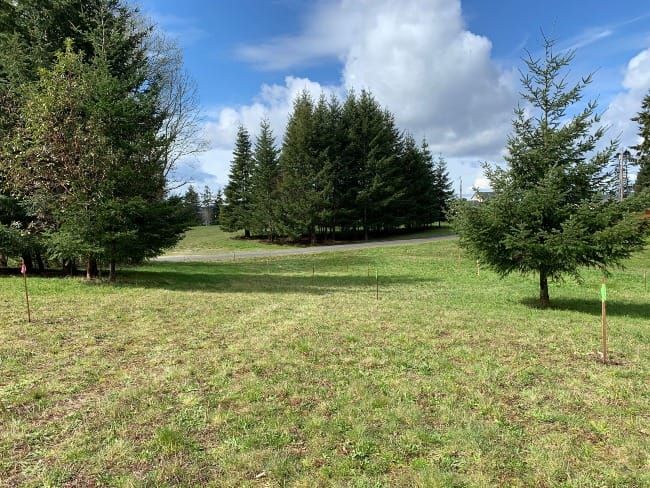 Practical Earthkeeping: Field of Dreams