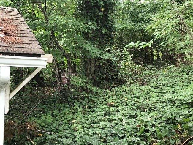 The Art of Creation: Space to Thrive