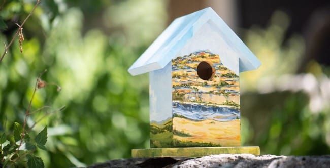 The Art of Creation: Raising Funds with Bird Box Art