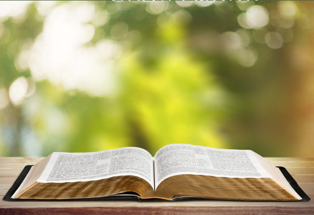 The Way Forward: Hiding in Plain Sight—The Ecological Vision of Scripture