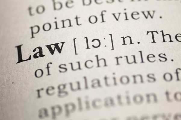 The Way Forward: Exodus 21-23—The Gift of the Law