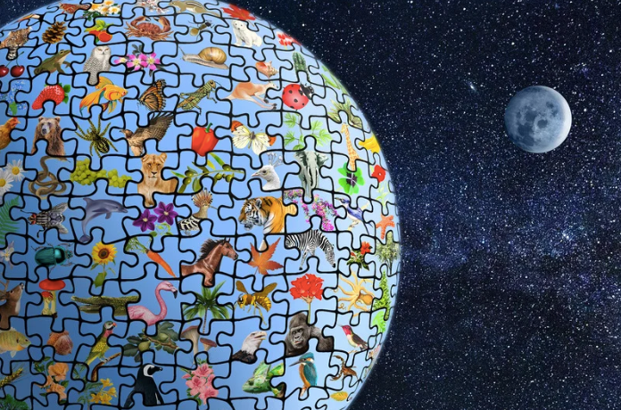 The Way Forward: Shift #2—A Bigger Gospel