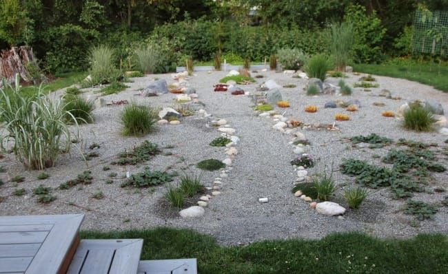 Practical Earthkeeping: Transforming a Septic Drainfield and More