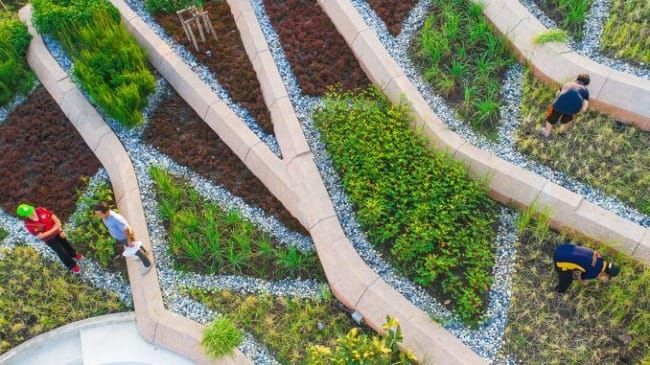 The Art of Creation: Up on the Rooftop