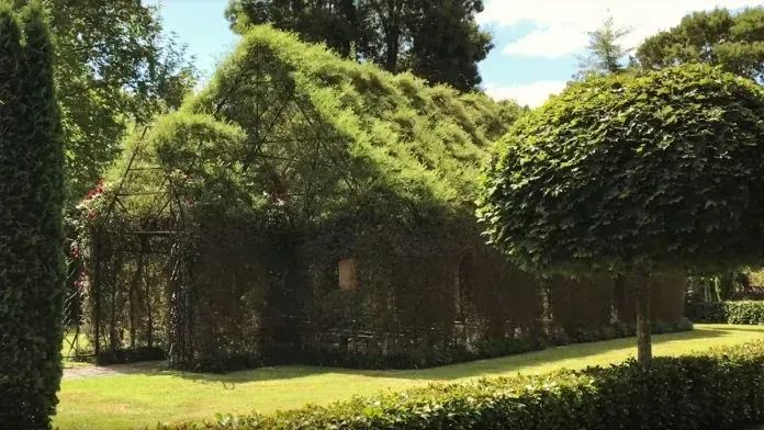 The Art of Creation: Living Walls