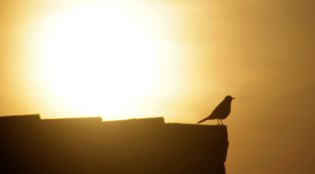 The Art of Creation: Two Blessings