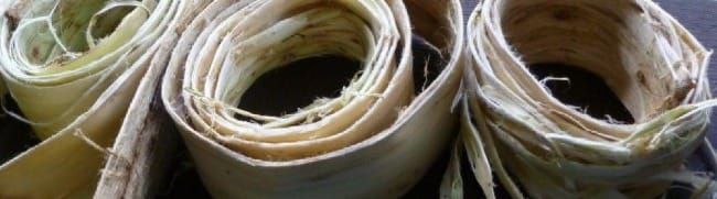 The Art of Creation: Storied Tradition