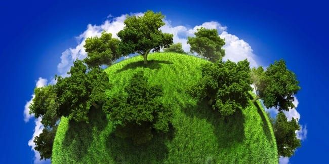 The Art of Creation: Prayer for the Earth