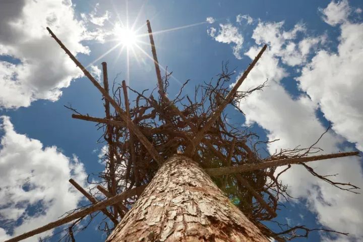 The Art of Creation: Painting with Clouds