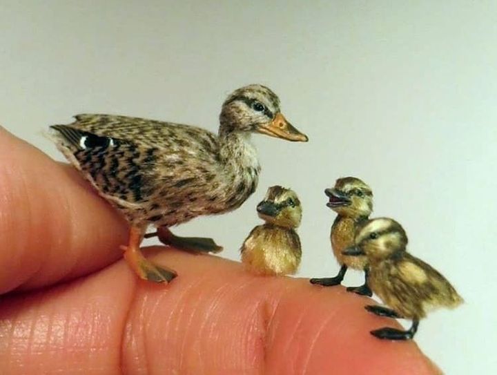 The Art of Creation: It's in the Details