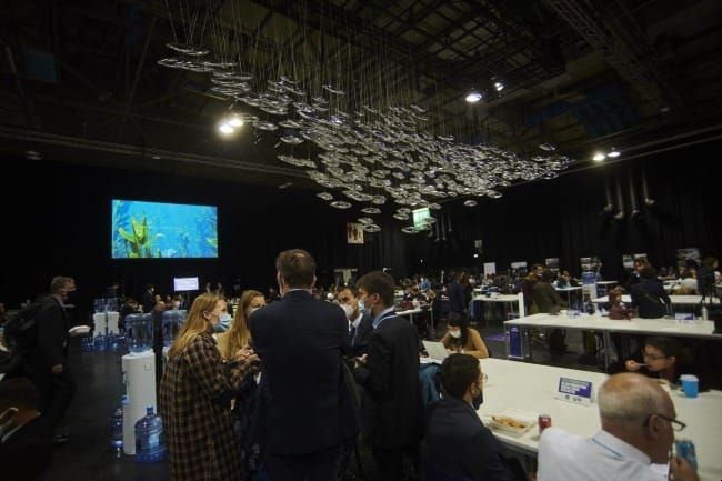 The Art of Creation: Salmon School