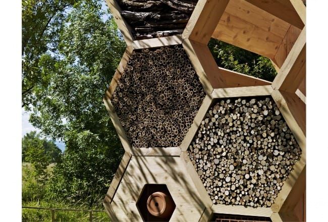 The Art of Creation: Not Just the Honeybee