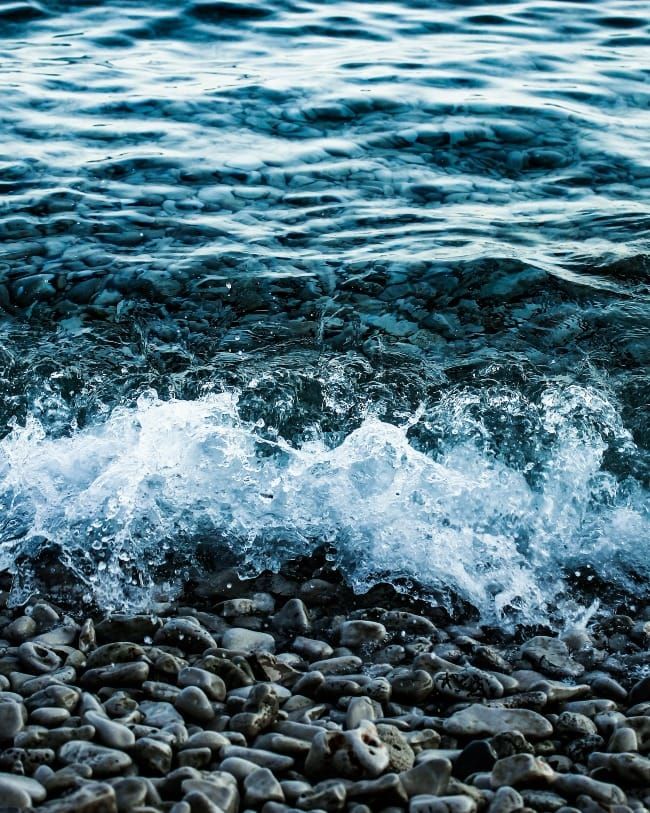 The Art of Creation: Songs of Gratitude