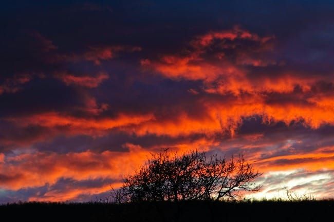 The Way Forward: Exodus for an Ecological Age