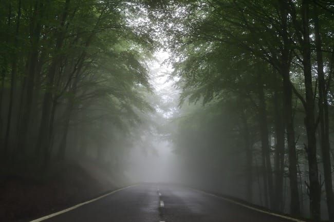 The Way Forward: Exodus 32— An Uncertain Future