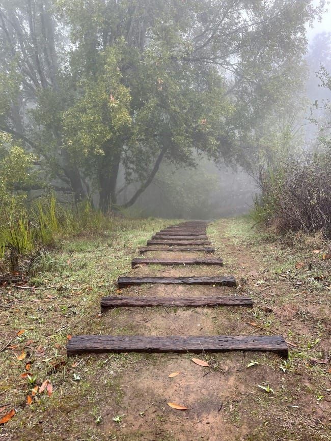 The Way Forward 2: Walking the Long Path of Renewal