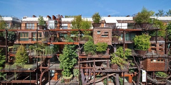 The Art of Creation: Living Amidst Trees