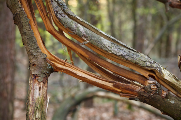 The Way Forward: Shift #6—An Interconnected Church