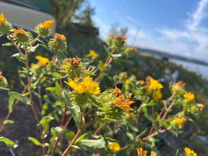 The Art of Creation: Stop and Listen