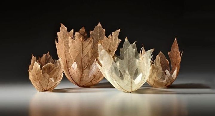 The Art of Creation: Leaf Bowls