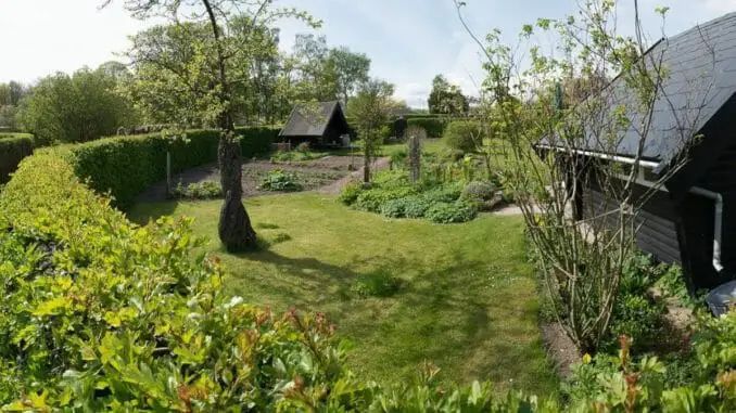 The Art of Creation: A Piece of Garden