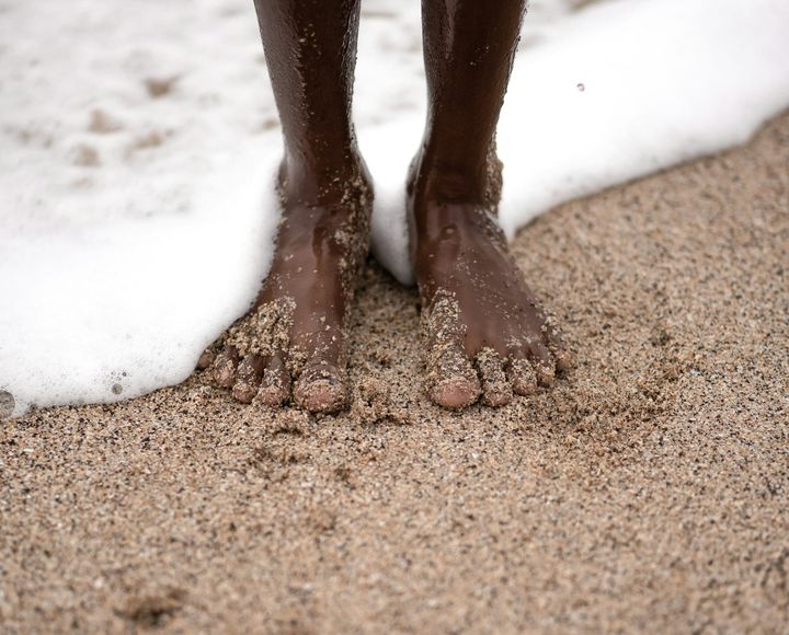 The Way Forward: Born to Be Wild—The Journey of Rewilding
