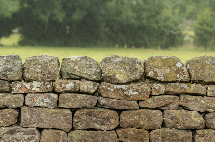 The Art of Creation: Stones that Breathe