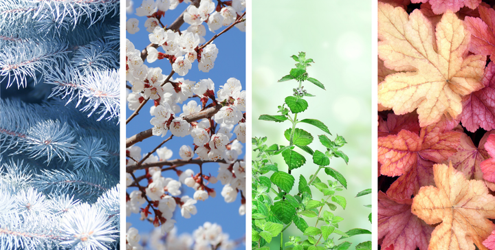 The Art of Creation: A Litany of Change