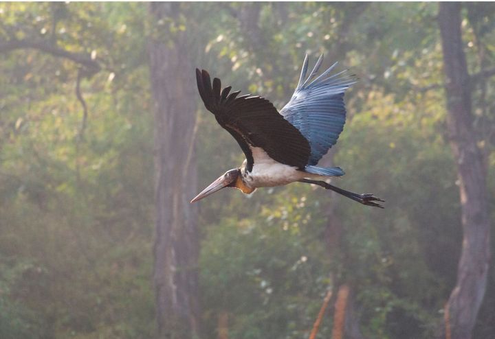 The Art of Creation: Beyond the Surface