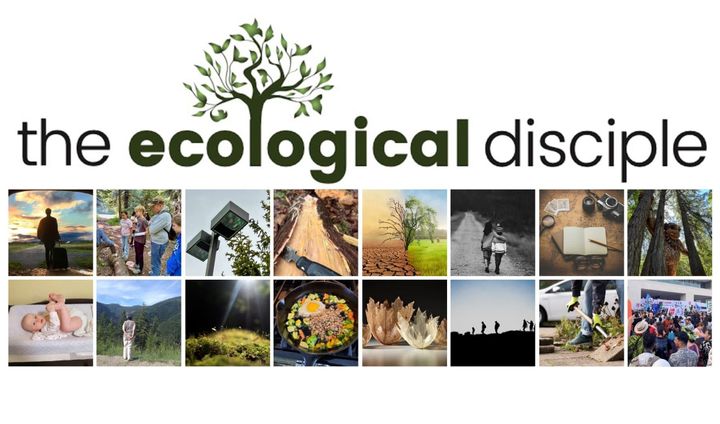 We are glad you found us!